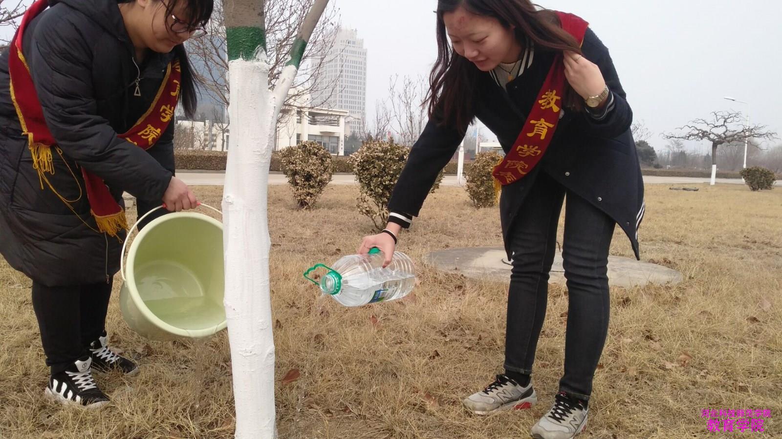 金沙集团1862举办植树节“和大树在一起”活动1.jpg